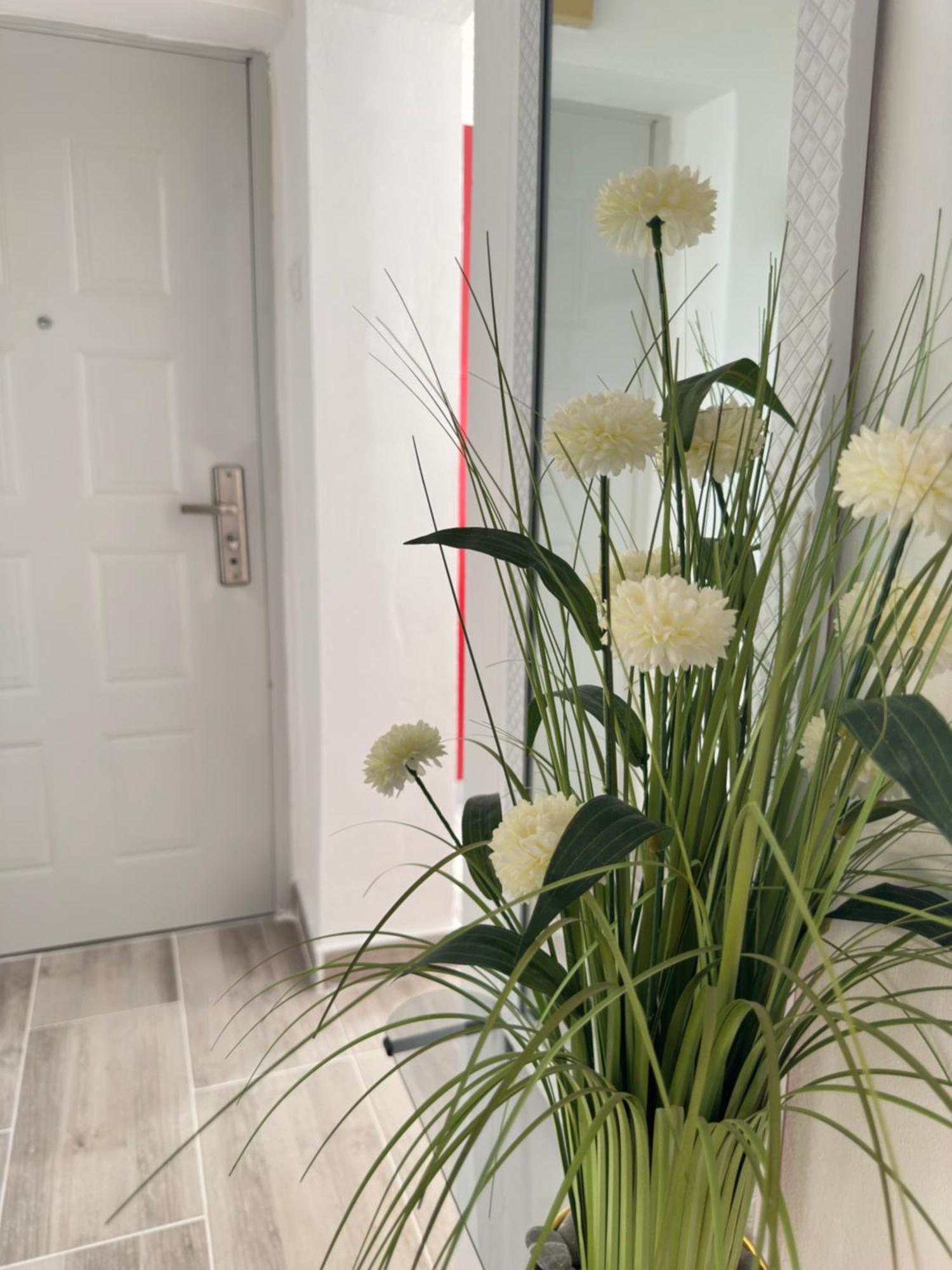 Apartment Maky Zadar Eksteriør bilde