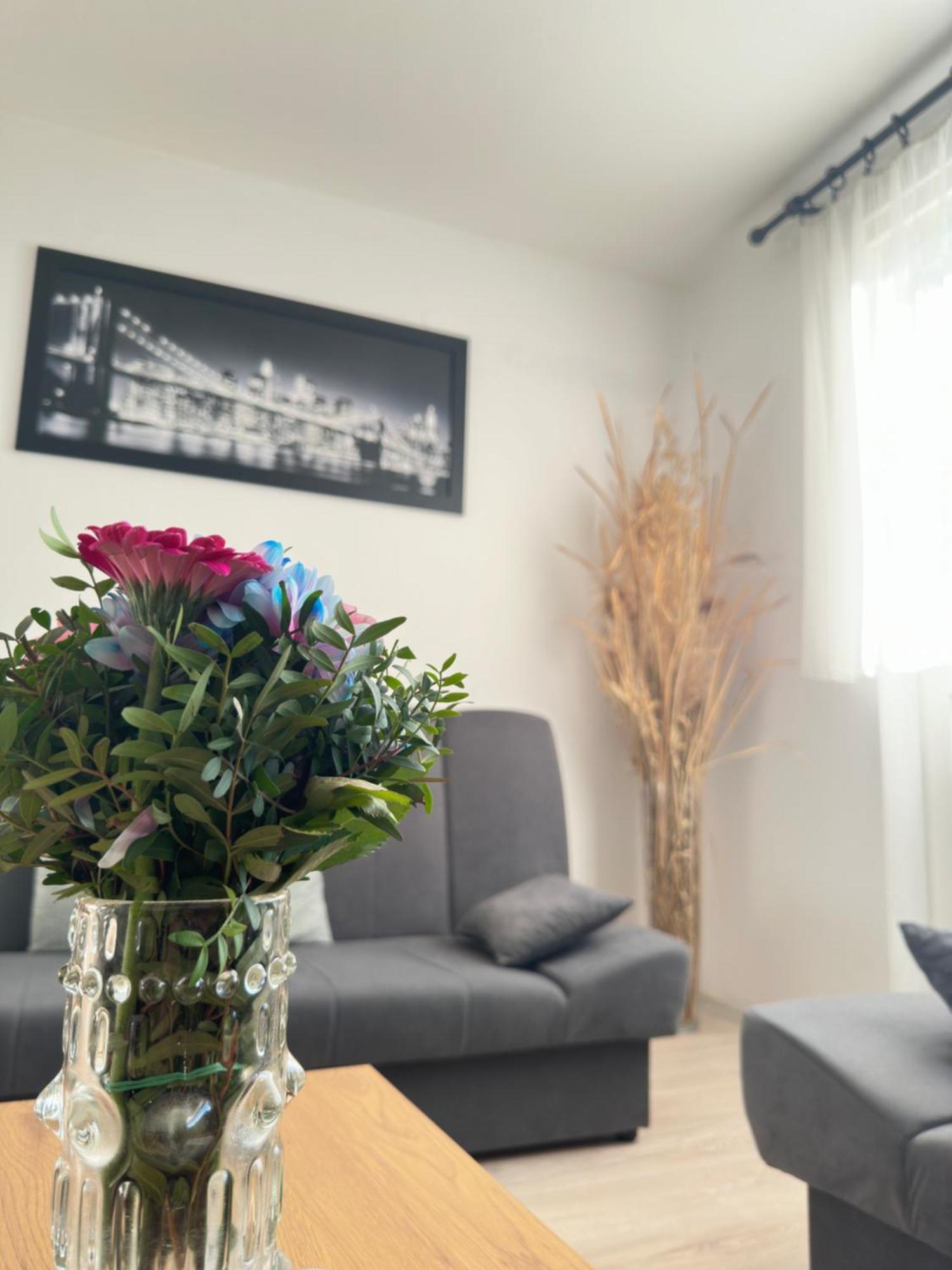 Apartment Maky Zadar Eksteriør bilde